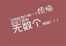 bt兔子怎么用不了了
